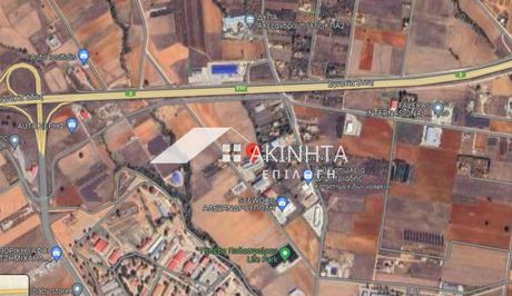 Αγροτεμάχια 1.300τ.μ. για πώληση-Αλεξανδρούπολη » Παλαγία