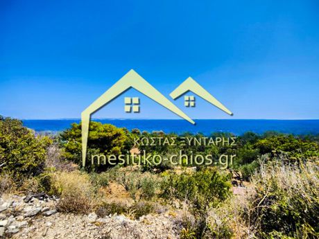 Οικόπεδο 843τ.μ. για πώληση-Χίος » Ιωνία