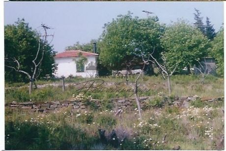 Αγροτεμάχια 8.653τ.μ. για πώληση-Αφέτες » Λαμπινού