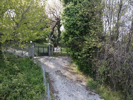 Οικόπεδο 1.510τ.μ. για πώληση-Μούρεσι » Τσαγκαράδα