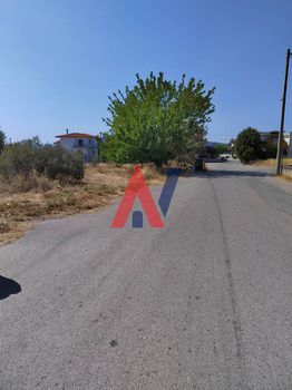Land plot 1.000sqm for sale-Anthidonos » Xirovrisi
