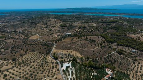 Αγροτεμάχια 10.550τ.μ. για πώληση-Κρανίδι » Βερβερούδα