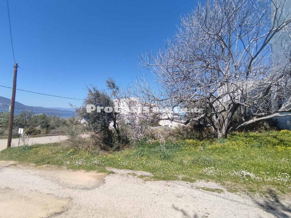 Οικόπεδο 367 τ.μ. προς πώληση, Λουτρά Αιδηψού