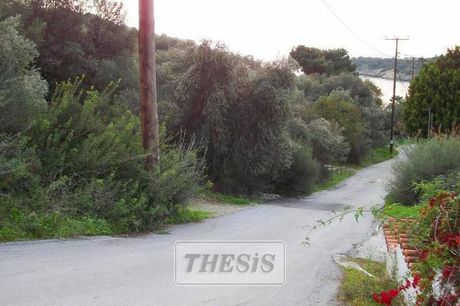 Land plot 4.000sqm for sale-Volos » Ag. Anargiroi