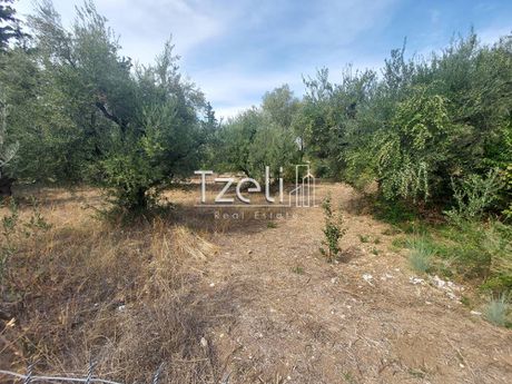 Parcel 2.000sqm for sale-Rio » Kato Kastritsi