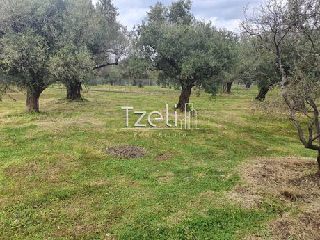 Οικόπεδο 1.001τ.μ. για πώληση-Πάτρα » Κοτρώνι