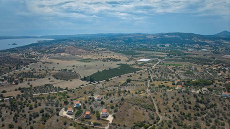 Αγροτεμάχια 4.008τ.μ. για πώληση-Ερμιόνη » Κουβέρτα