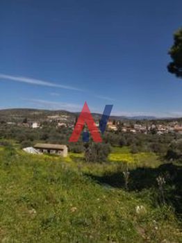 Land plot 1.700sqm for sale-Lilantio » Vasiliko