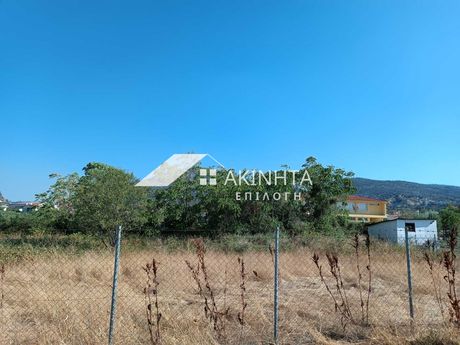 Land plot 877sqm for sale-Alexandroupoli » Avantas