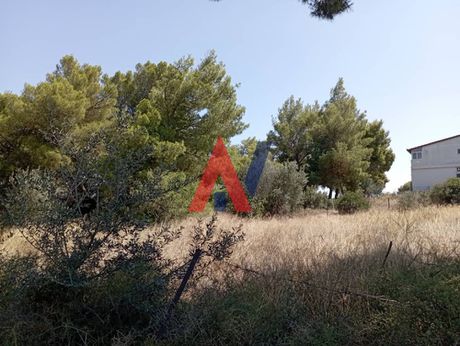Parcel 350sqm for sale-Center
