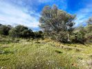 Land plot 422sqm for sale-Epidavros » Epidavros Town