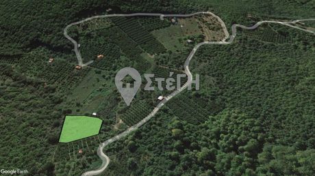 Αγροτεμάχια 3.000τ.μ. για πώληση-Νάουσα » Χώρας νερό