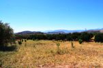 Land plot 1.250sqm for sale-Nea Tirintha » Neo Roeino