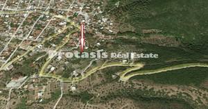 Αγροτεμάχια 4.308,26 τ.μ. για πώληση