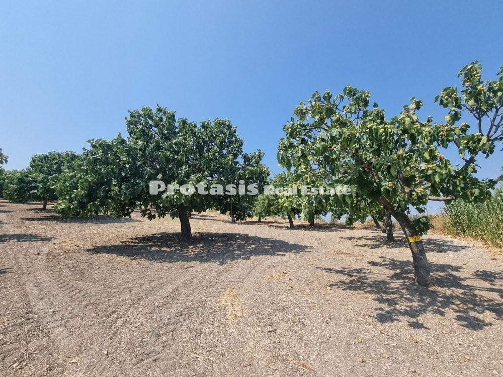 Αγροτεμάχια 3.727 τ.μ. προς πώληση, Ταξιάρχης Ωρεών