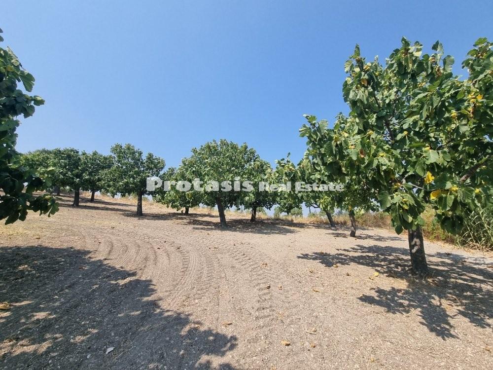 Αγροτεμάχια 3.727 τ.μ. προς πώληση, Ταξιάρχης Ωρεών
