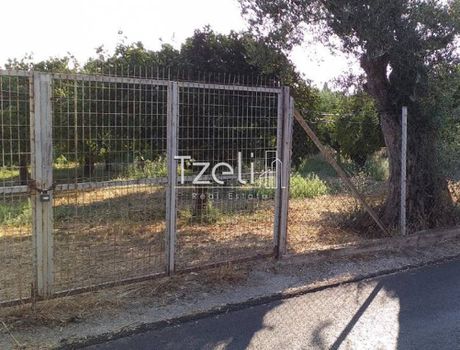 Land plot 3.250sqm for sale-Paralia » Rogitika