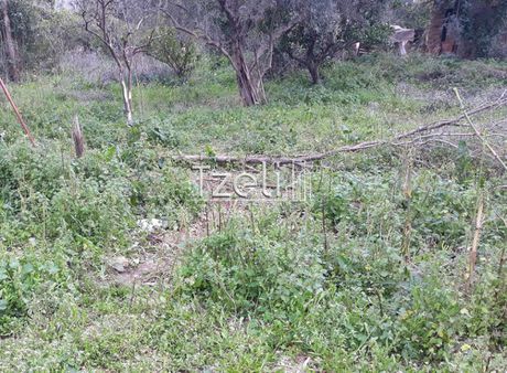 Parcel 2.650sqm for sale-Messatida » Ovria
