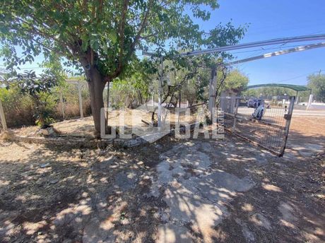 Αγροτεμάχια 1.000τ.μ. για πώληση-Ωραιόκαστρο » Κέντρο