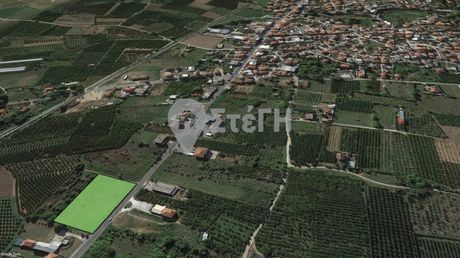 Αγροτεμάχια 5.375τ.μ. για ενοικίαση-Ανθεμιά » Κοπανός