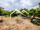 Land plot 2.241sqm for sale-Chios » Omiroupoli
