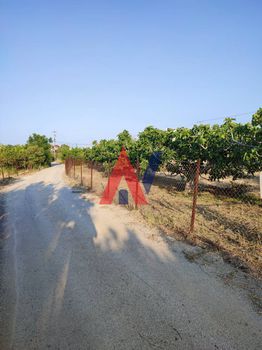 Οικόπεδο 2.580τ.μ. για πώληση-Διακοπτό » Καλαντέρι