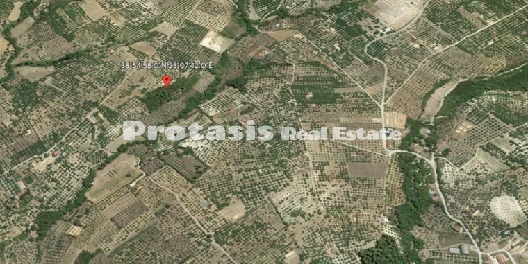 Αγροτεμάχια 14.238τ.μ. για πώληση-Ωρεοί » Ταξιάρχης