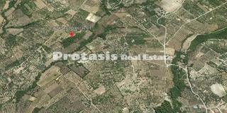 Αγροτεμάχια 14.238 τ.μ. για πώληση