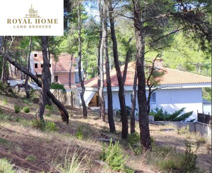 Οικόπεδο 1.321τ.μ. για πώληση-Διόνυσος » Κέντρο