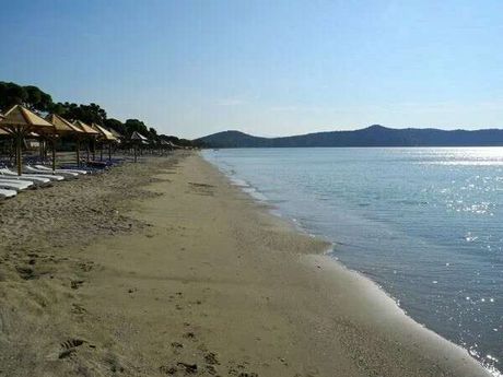 Οικόπεδο 1τ.μ. για πώληση-Παλλήνη » Κέντρο
