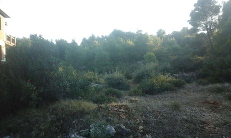 Οικόπεδο 2τ.μ. για πώληση-Αφίδνες » Κιούρκα