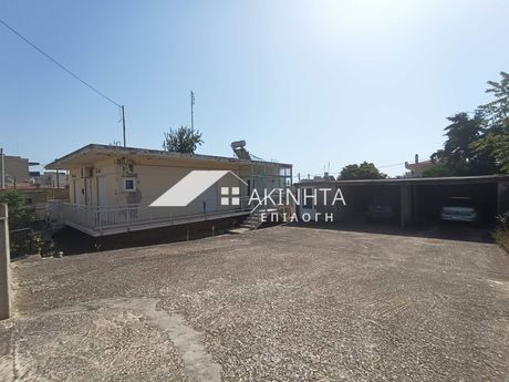 Μονοκατοικία 110τ.μ. για πώληση-Αλεξανδρούπολη » Μαϊστρος