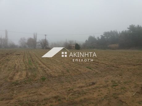 Αγροτεμάχια 12.000τ.μ. για πώληση-Αλεξανδρούπολη » Μαϊστρος