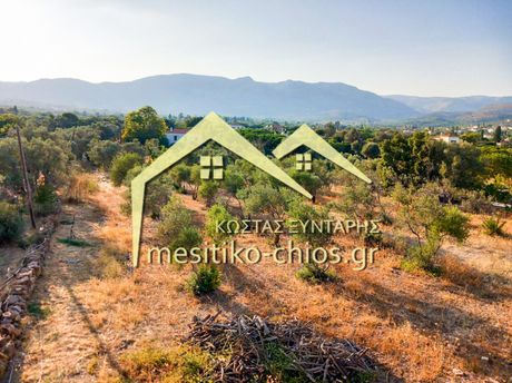 Οικόπεδο 2.827τ.μ. για πώληση-Χίος » Καμποχώρια