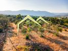 Land plot 2.827sqm for sale-Chios » Kampochoria