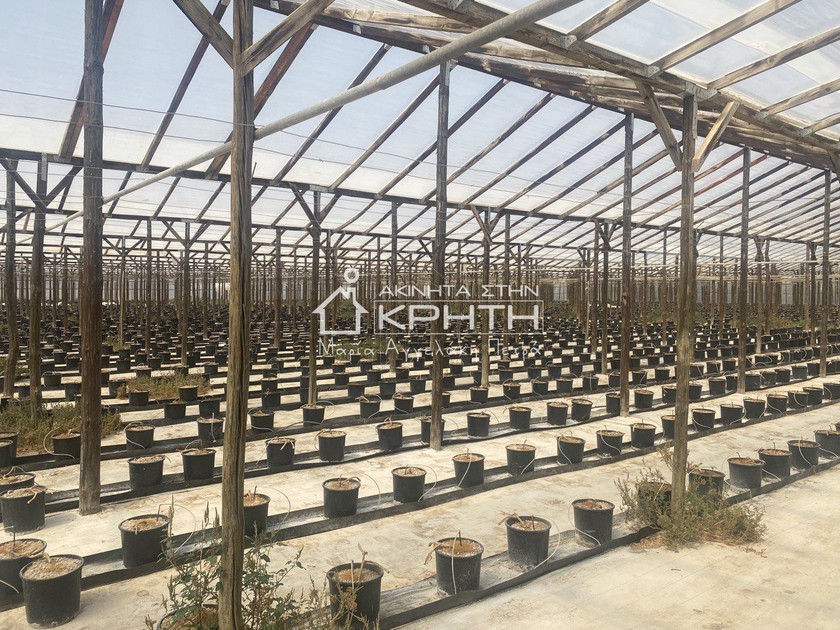 Land plot 17.000sqm for sale-Ierapetra