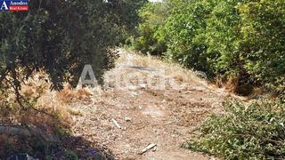 Οικόπεδο 1.847 τ.μ. πρός πώληση