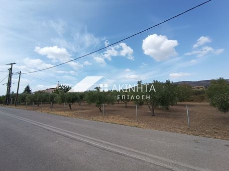 Αγροτεμάχια 1.750τ.μ. για πώληση-Αλεξανδρούπολη » Μεσημβρία