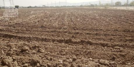 Αγροτεμάχια 37.000τ.μ. για ενοικίαση-Ασπρόπυργος » Κέντρο