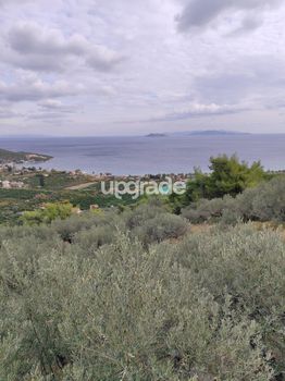Οικόπεδο 6.800τ.μ. για πώληση-Επίδαυρος » Νέα επίδαυρος