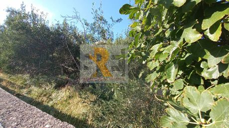 Land plot 1.400sqm for sale-Gerakas » Stavros Geraka