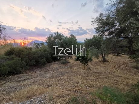 Land plot 543sqm for sale-Messatida » Kallitheokampos