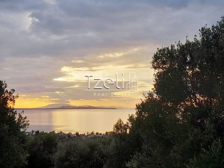 Land plot 3.462sqm for sale-Paralia » Goumenitsanika