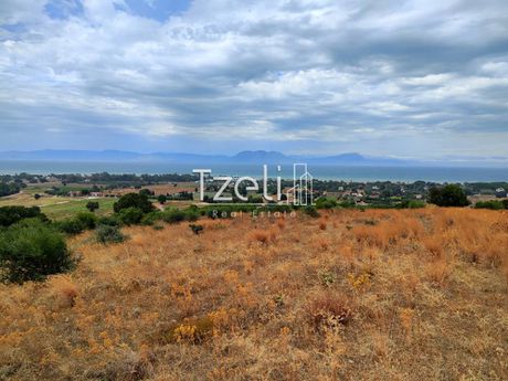 Land plot 4.000sqm for sale-Larissos » Lakkopetra