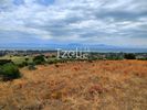 Land plot 4.000sqm for sale-Larissos » Lakkopetra