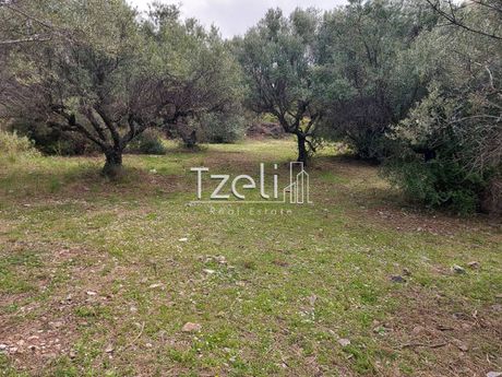 Land plot 1.680sqm for sale-Patra » Neo Souli