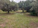 Land plot 1.680sqm for sale-Patra » Neo Souli