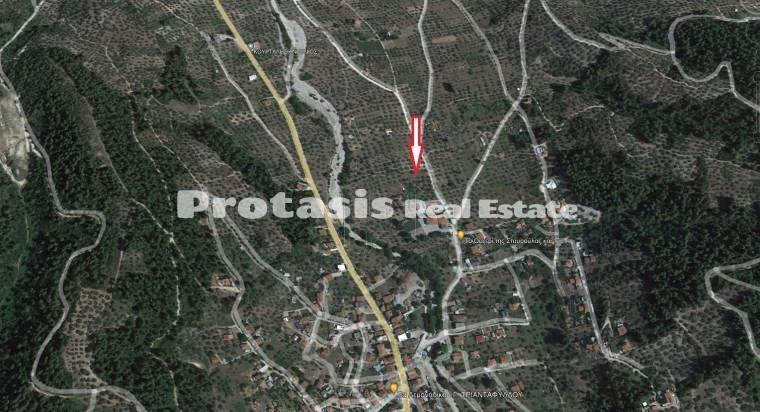 Οικόπεδο 775 τ.μ. προς πώληση, Γούβες Αρτεμισίου