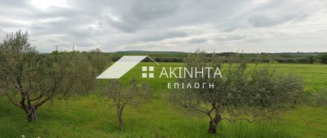 Parcel 5.000sqm for sale-Alexandroupoli » Avantas