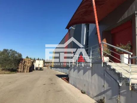 Βιομηχανικός χώρος 3.000τ.μ. για πώληση-Μυγδονία » Ανθούπολη